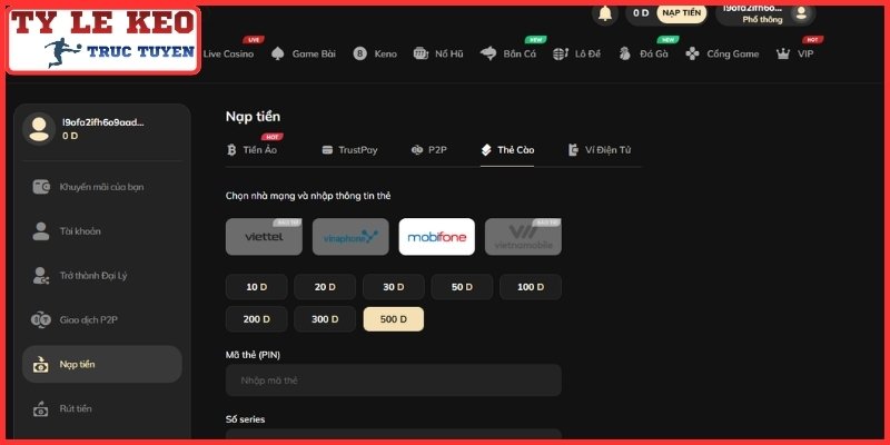 Hệ thống giao dịch và quy trình hỗ trợ của Oxbet