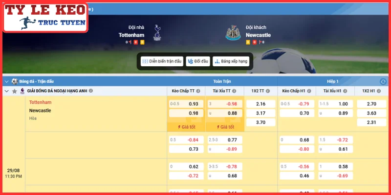 Kèo châu Á trận Tottenham Hotspur vs Newcastle United (23:30, 29/08 | Ngoại Hạng Anh)